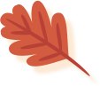 낙엽 이미지